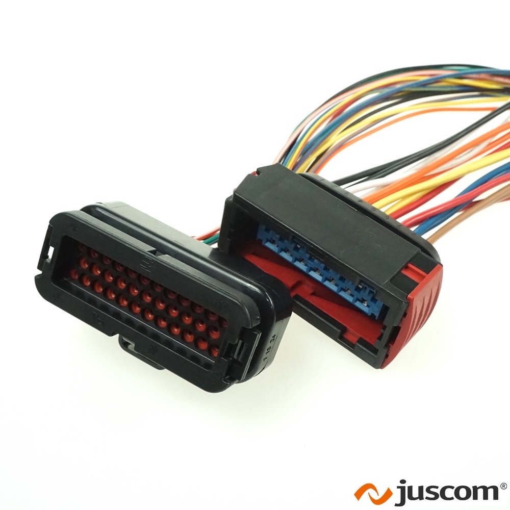 Automotive wire harness with a variety of connectors-3