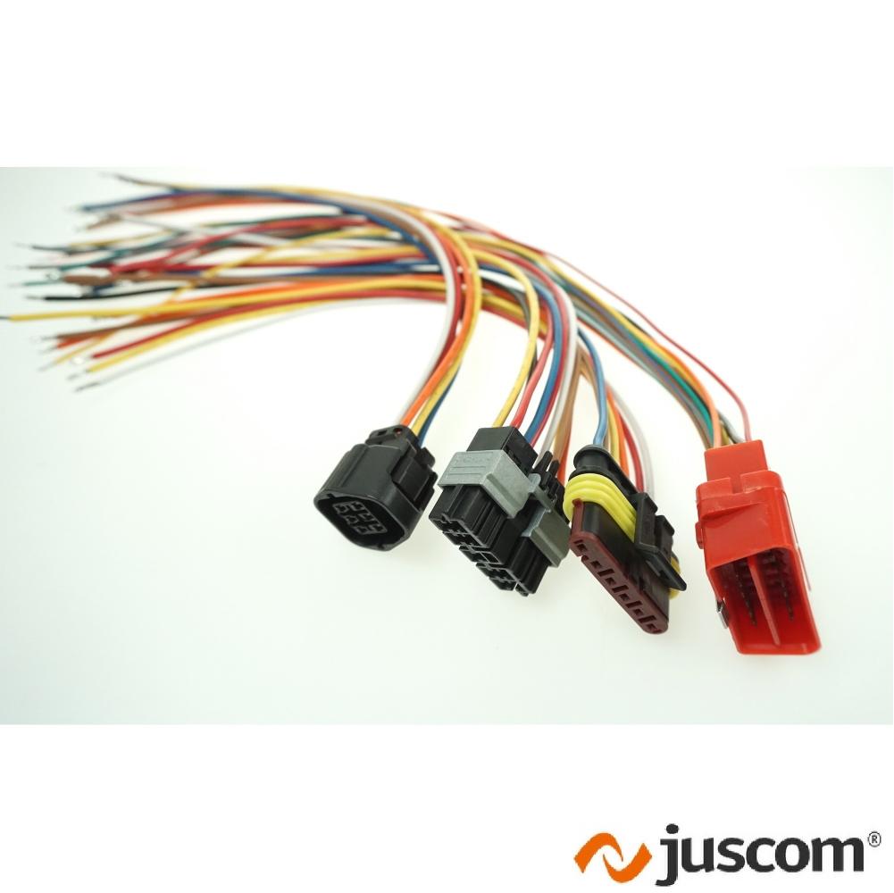 Automotive wire harness with a variety of connectors-1