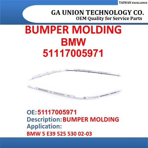 BUMPER MOLDING-51117005971