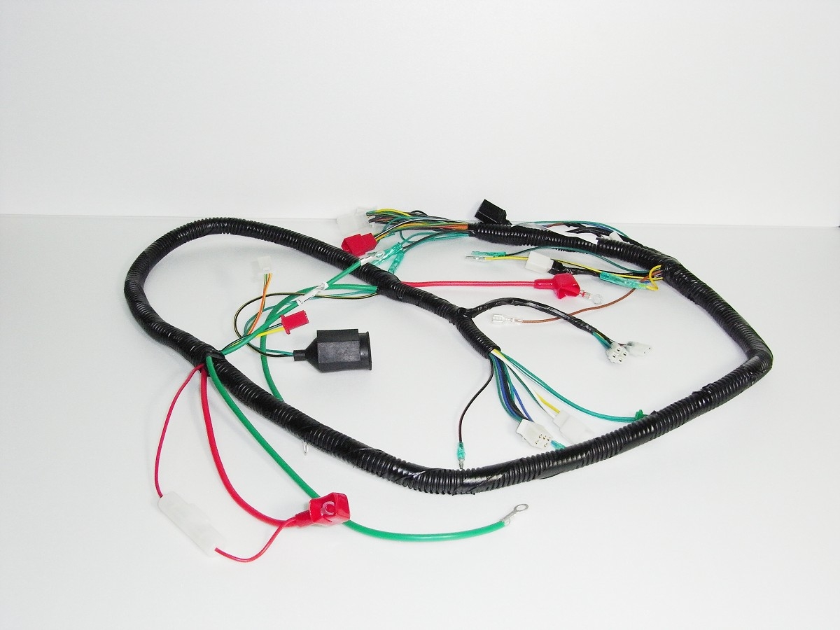 Main wire harness MWH10-MWH10