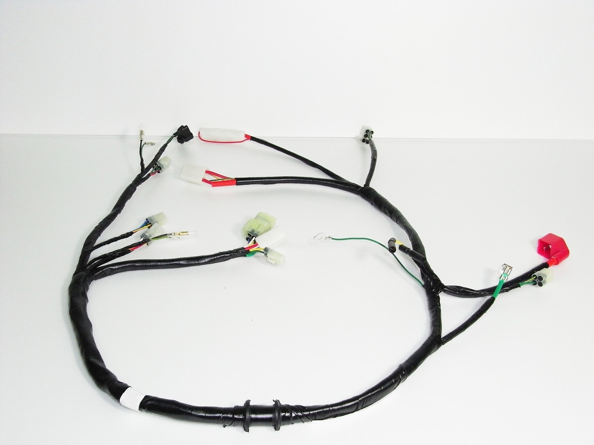 Main wire harness MWH11